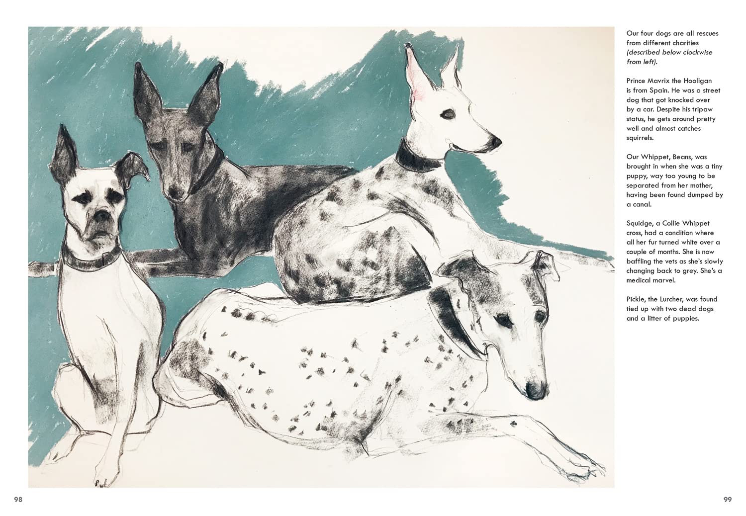 Rescue Dogs: A beautiful portraiture book of man’s best friend, the perfect gift for artists and dog lovers alike