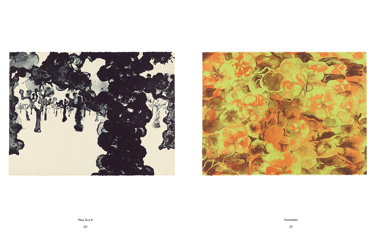 Ruth Asawa: The Tamarind Prints