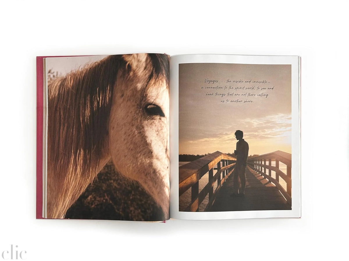 I Love You: Recipes from the Heart (A Cookbook)