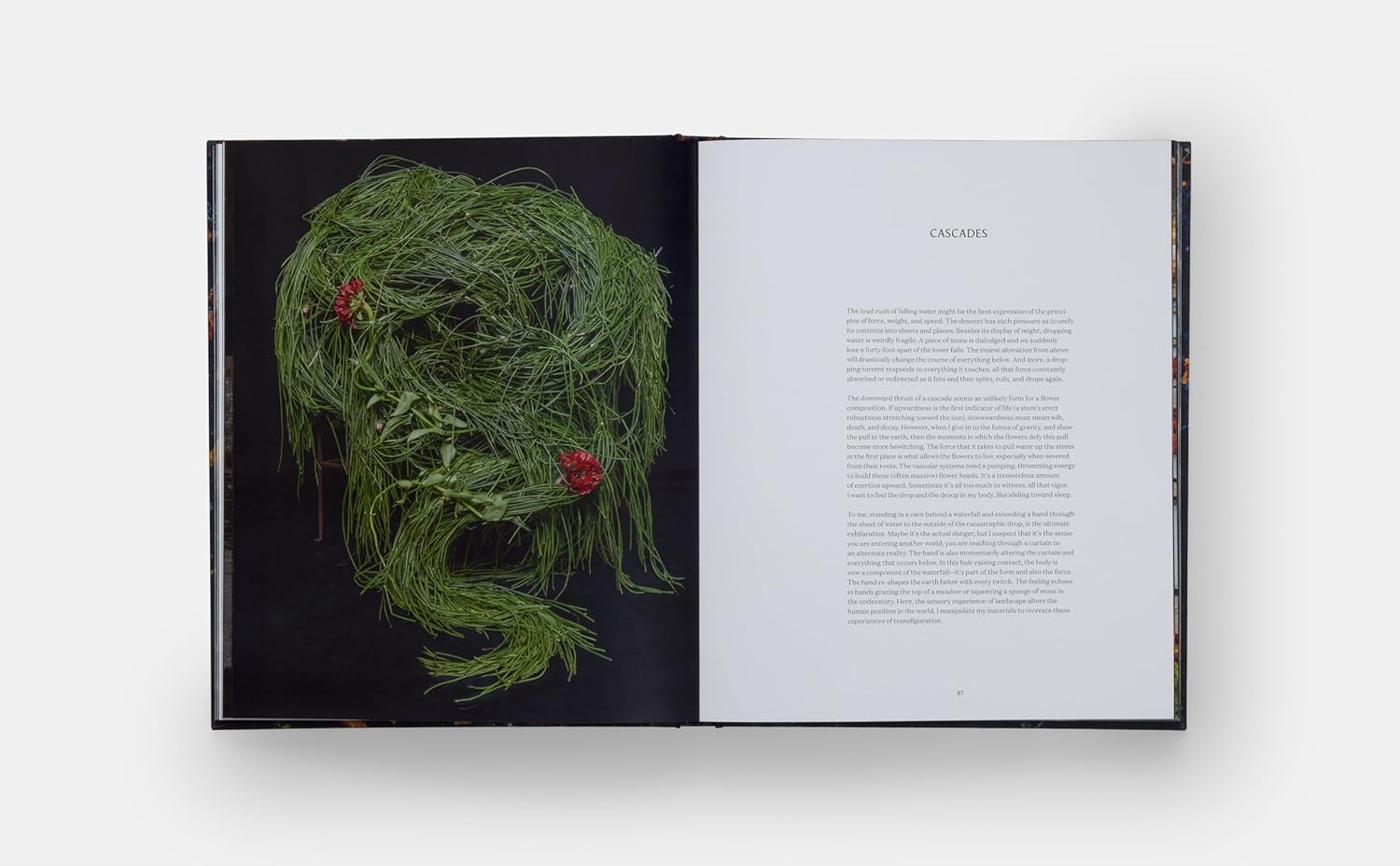 Emily Thompson Flowers