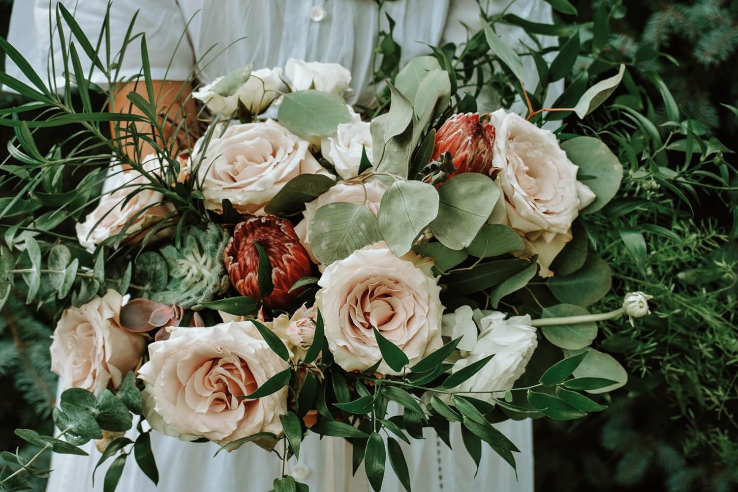 Roses Rosen