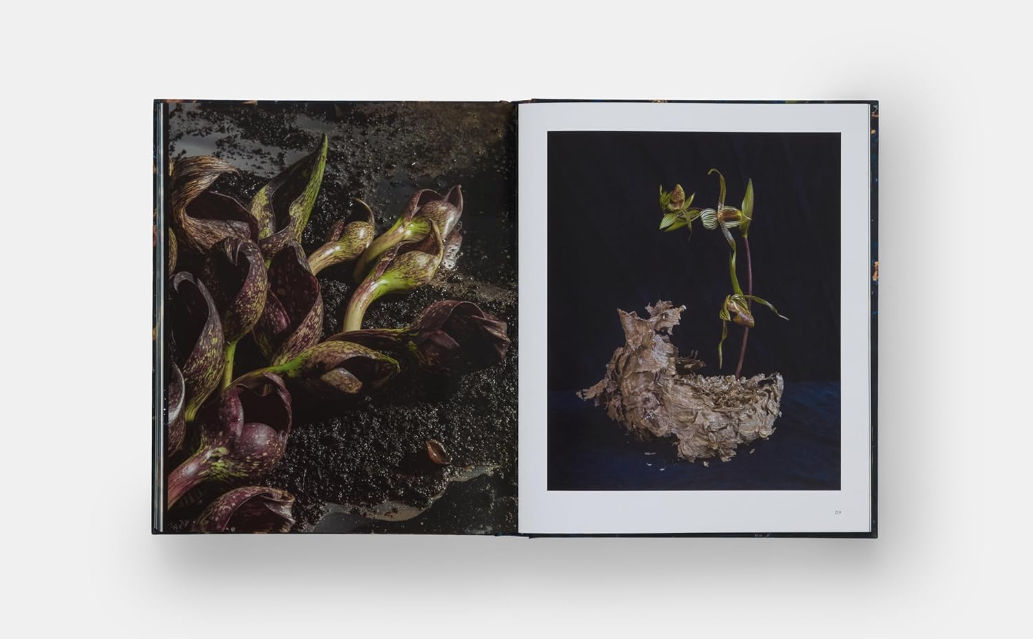 Emily Thompson Flowers