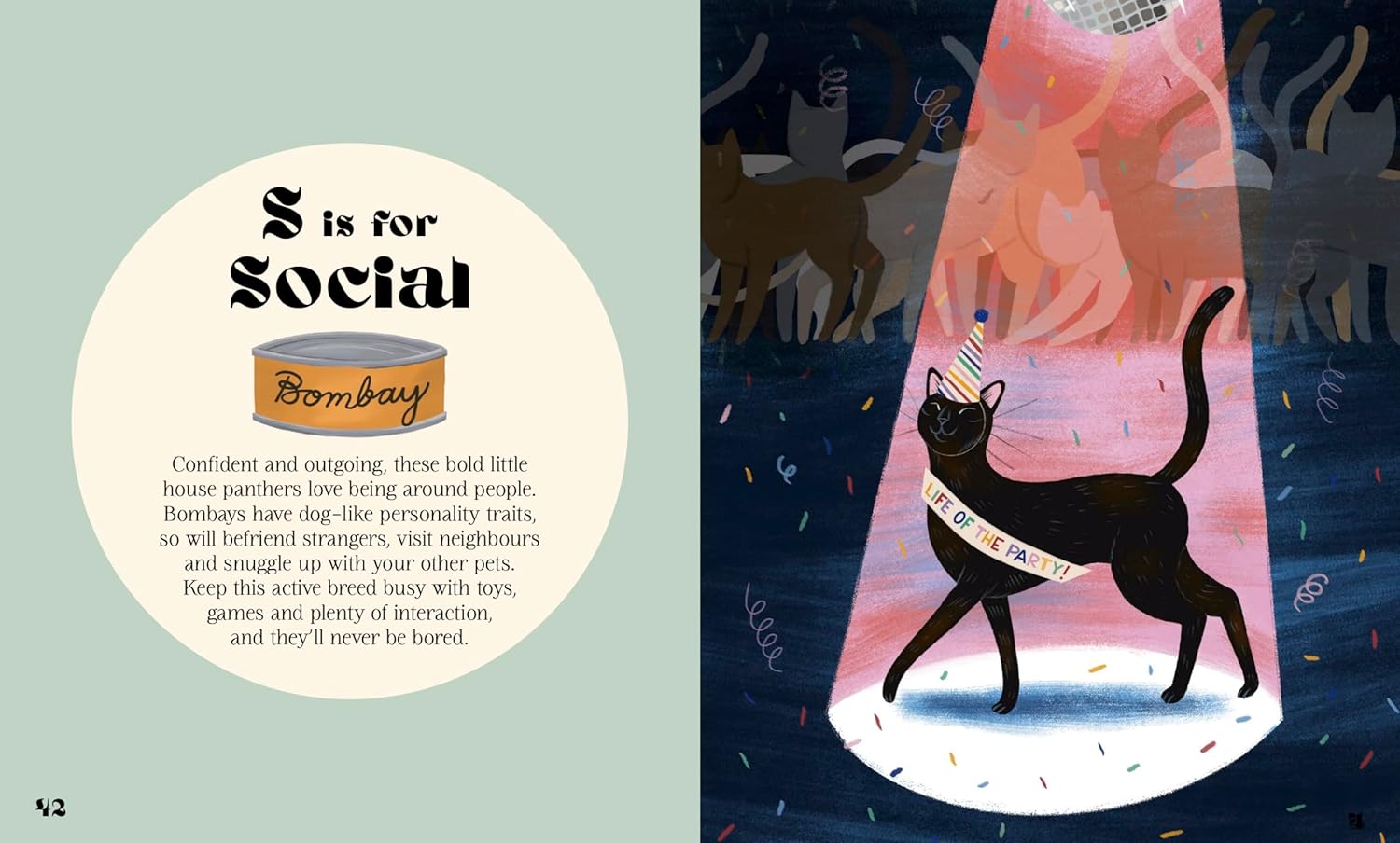 Catphabet: A whimsical celebration of our favourite feline friends