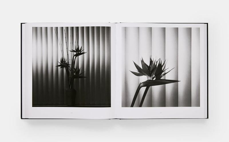 Mapplethorpe Flora: The Complete Flowers