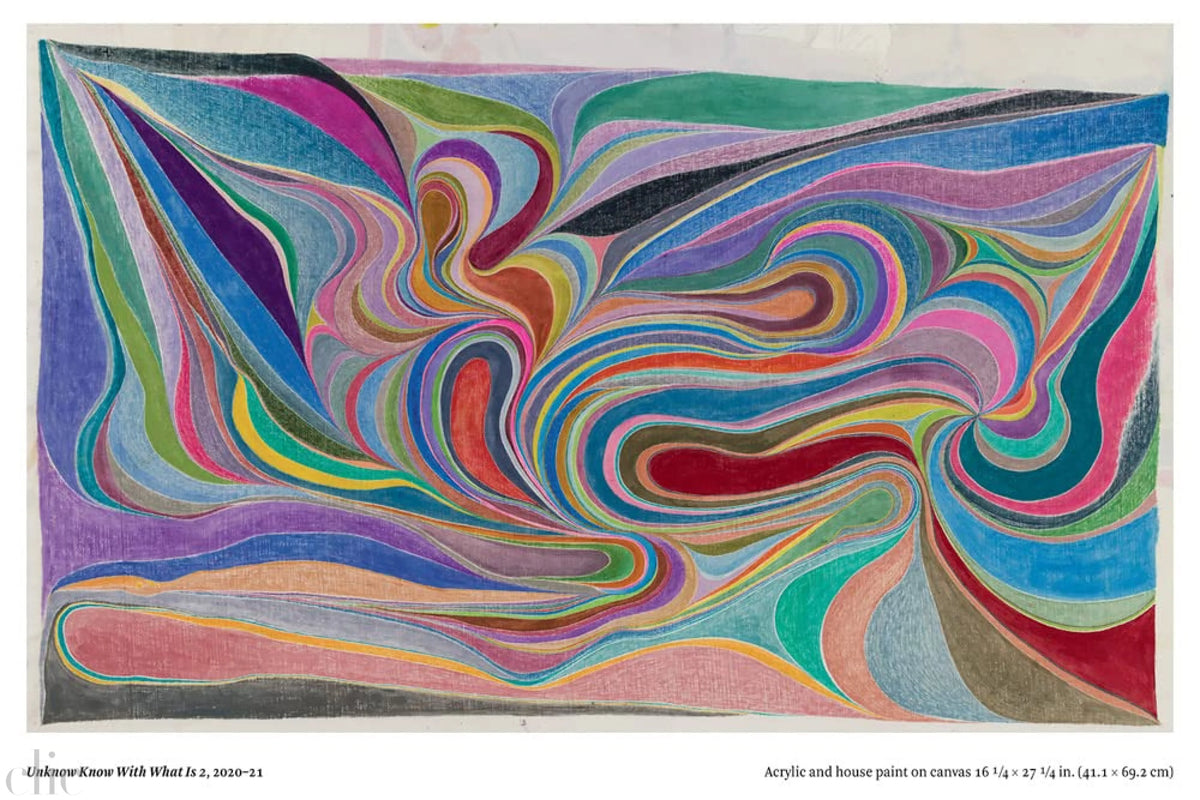 Chris Johanson: Considering Unknow Know With What Is, And