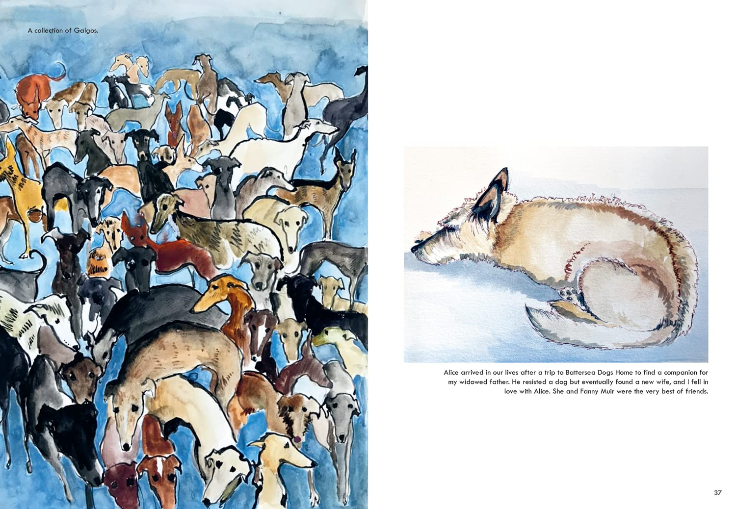 Rescue Dogs: A beautiful portraiture book of man’s best friend, the perfect gift for artists and dog lovers alike