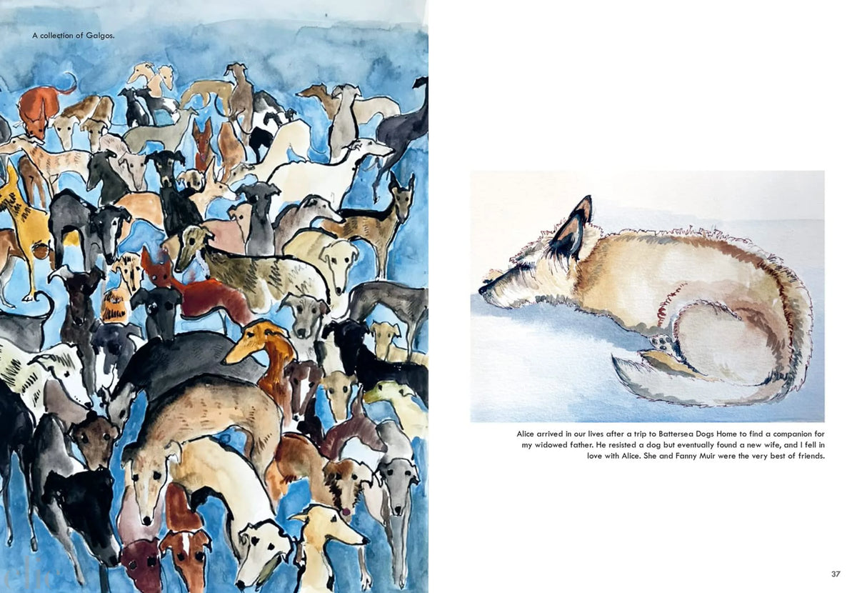 Rescue Dogs: A beautiful portraiture book of man’s best friend, the perfect gift for artists and dog lovers alike