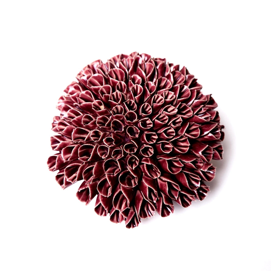 Anemone in Purple, from Chive