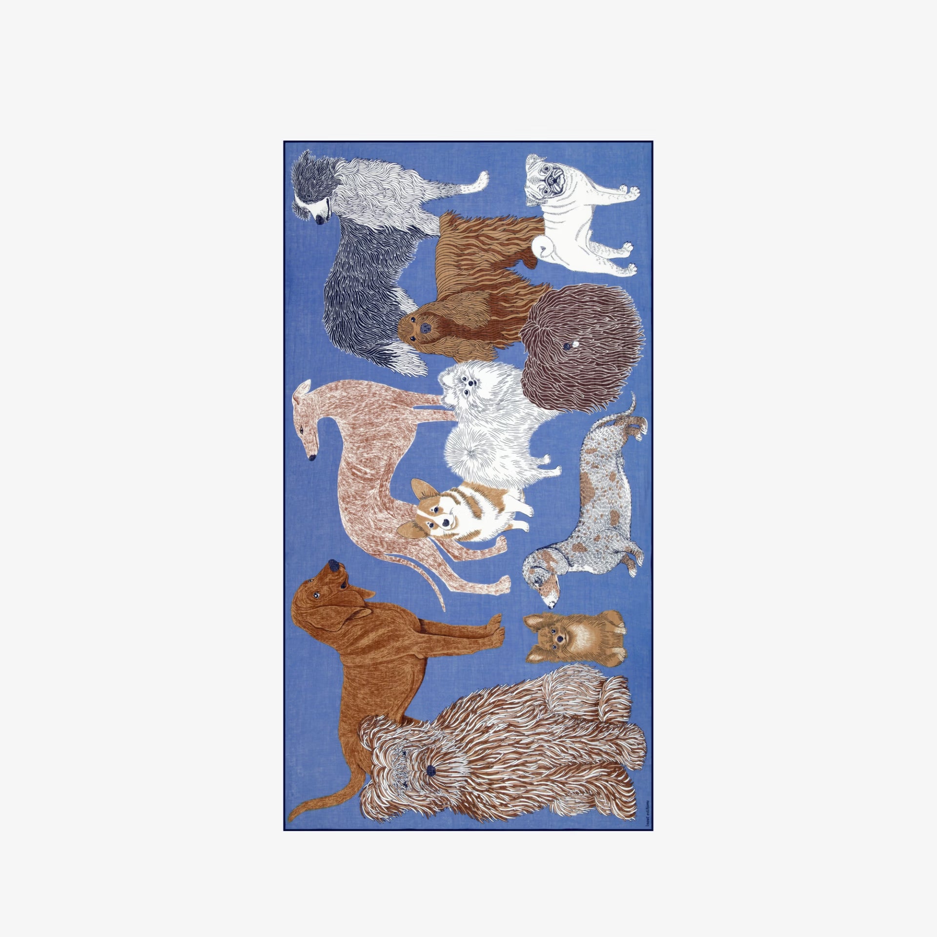 Toutou Scarf in Blue, from Inoui Editions