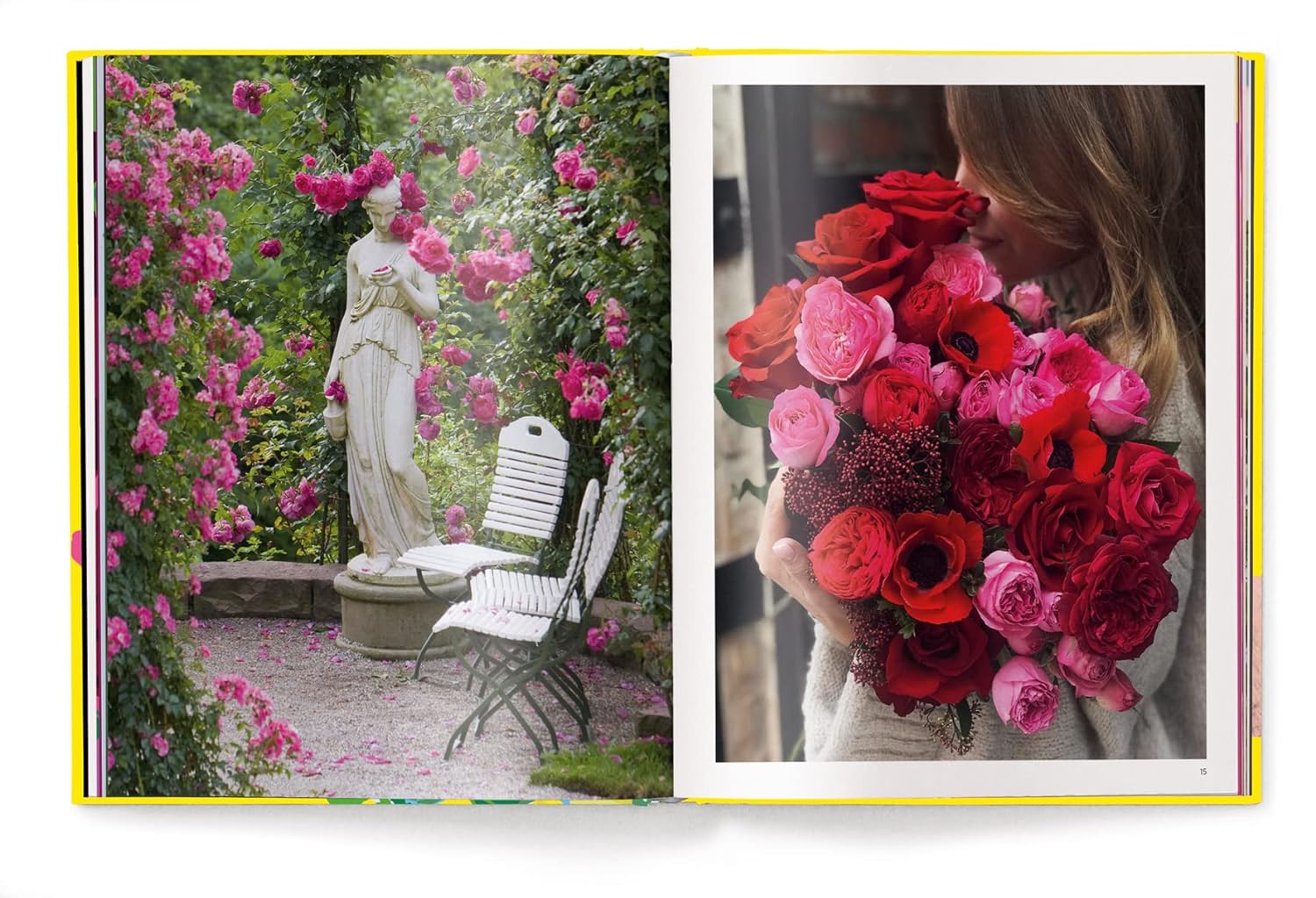 Roses Rosen