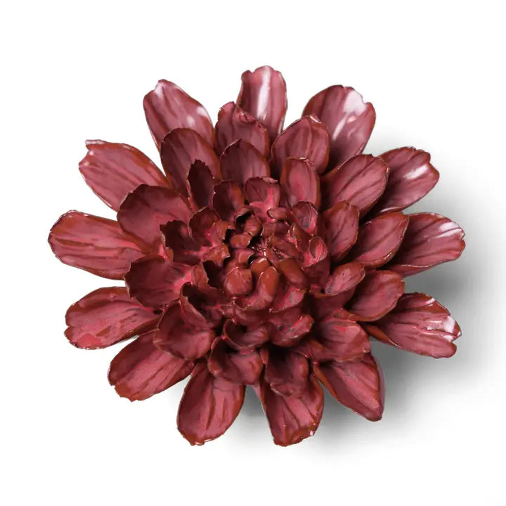 Pink Star Dahlia in Blush Pink, from Chive
