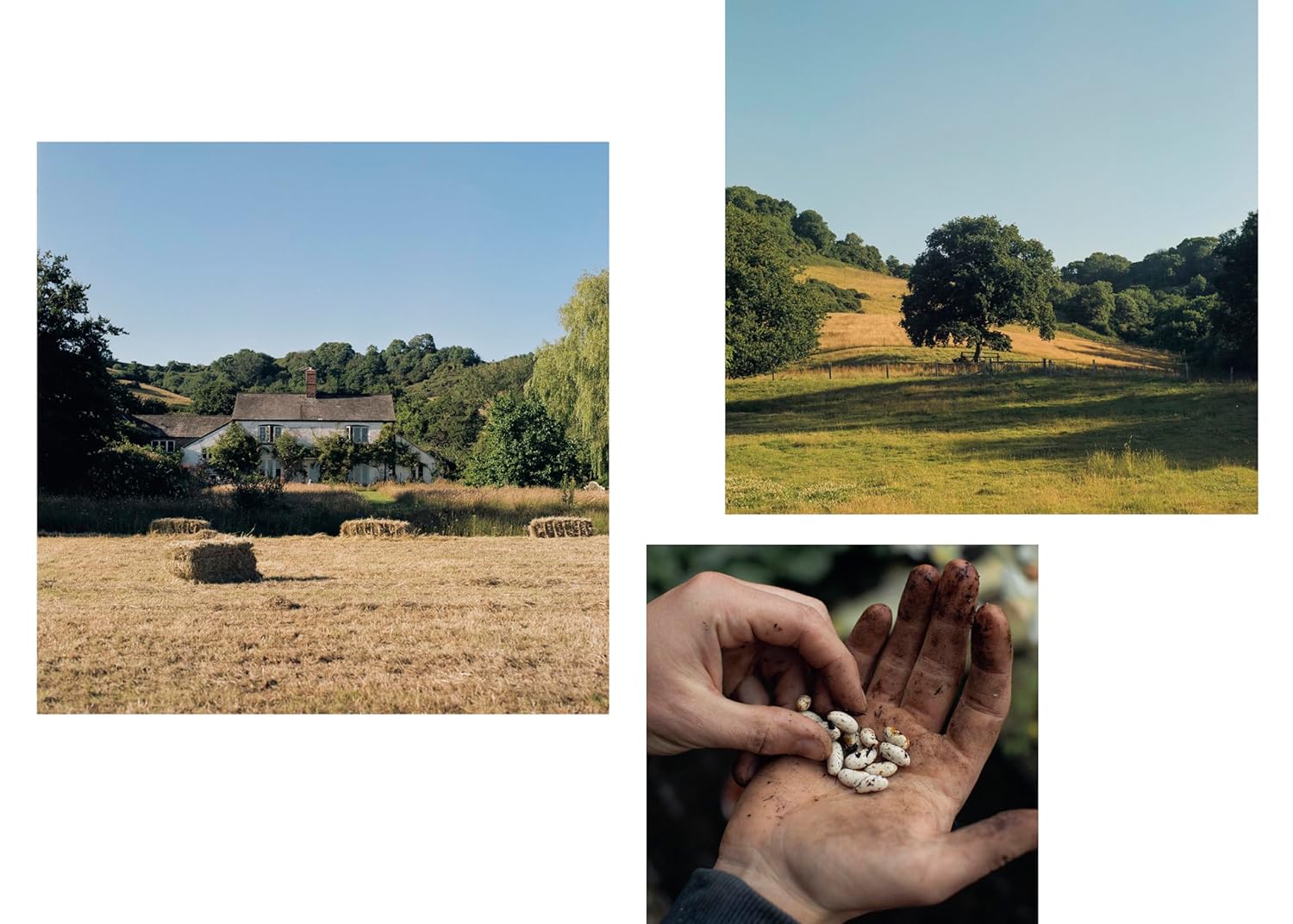 The Farm Table: [A Cookbook]