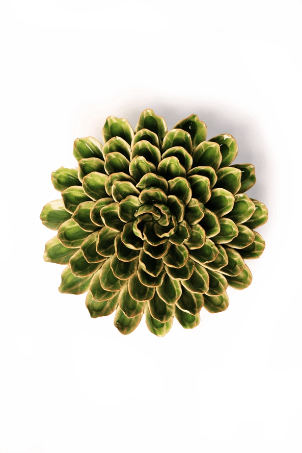Unicorn Zinna in Avocado Green, from Chive