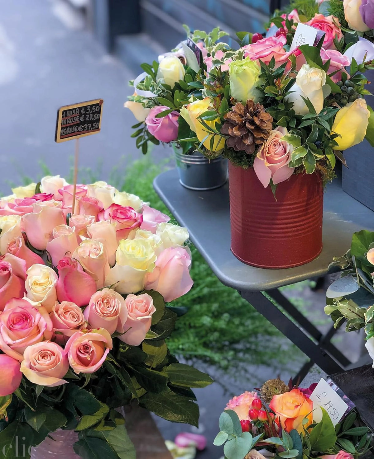 Roses Rosen