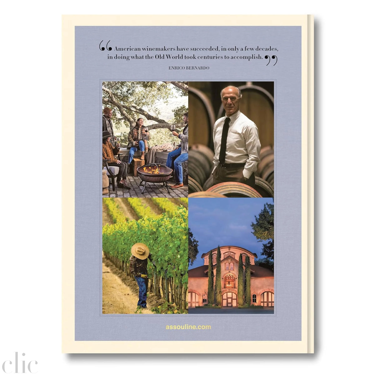 Wine & Travel United States of America: Exploring the best regional vineyards