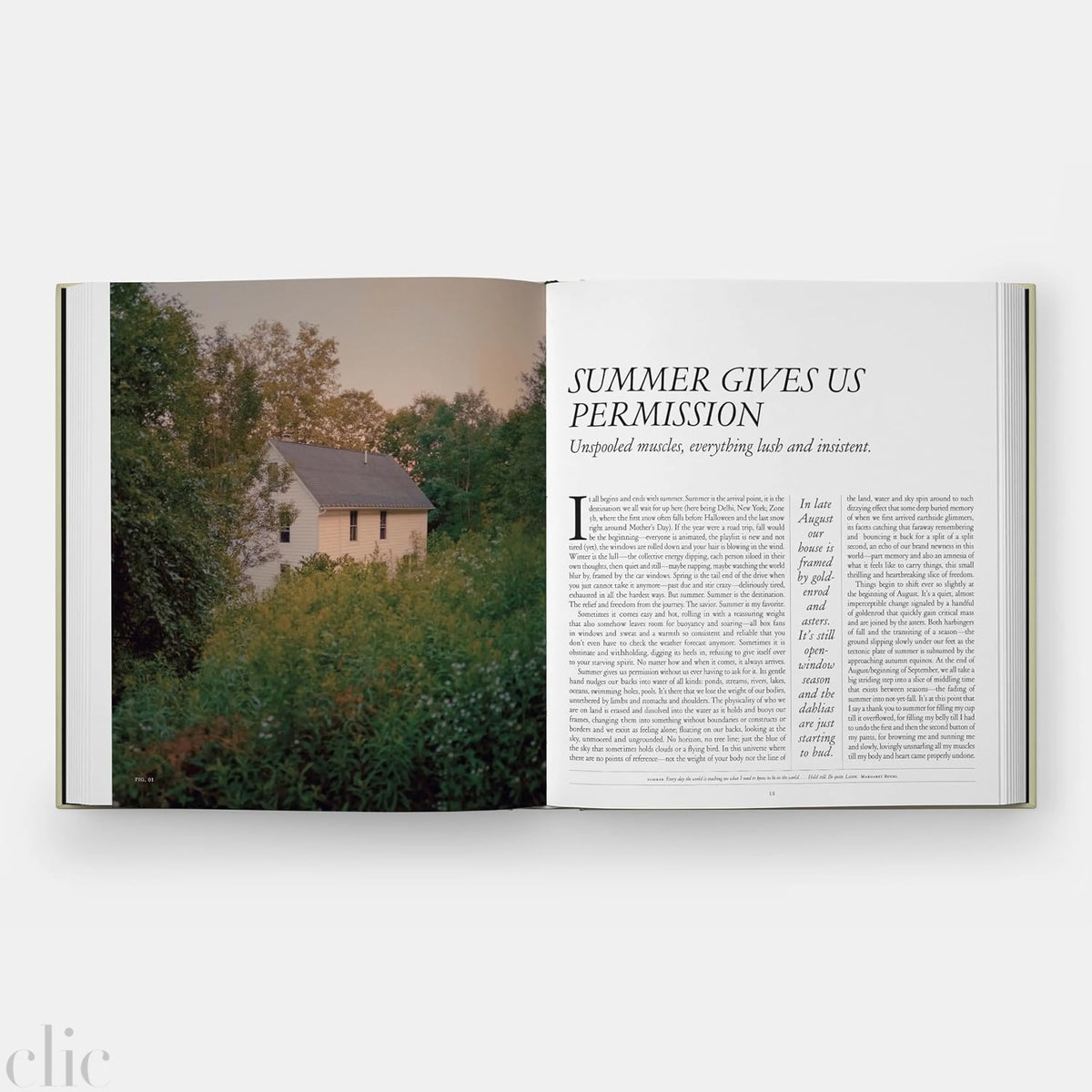 Once Around the Sun: Seasonal Rituals, Food, and Stories from a House Upstate