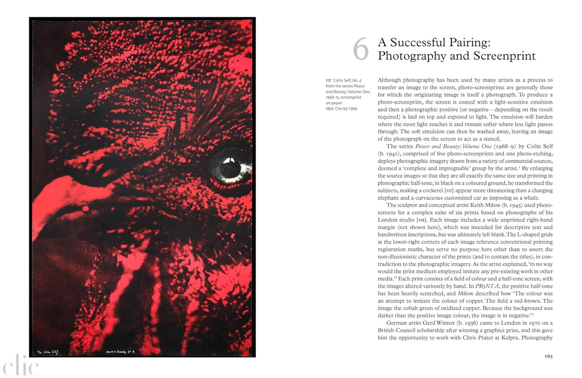 Screenprints: A History (V&A Printmaking)