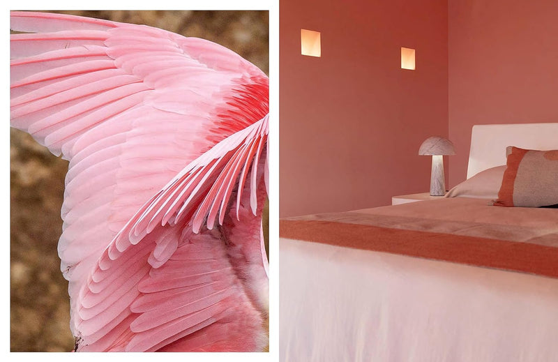 Mexican: A Journey Through Design