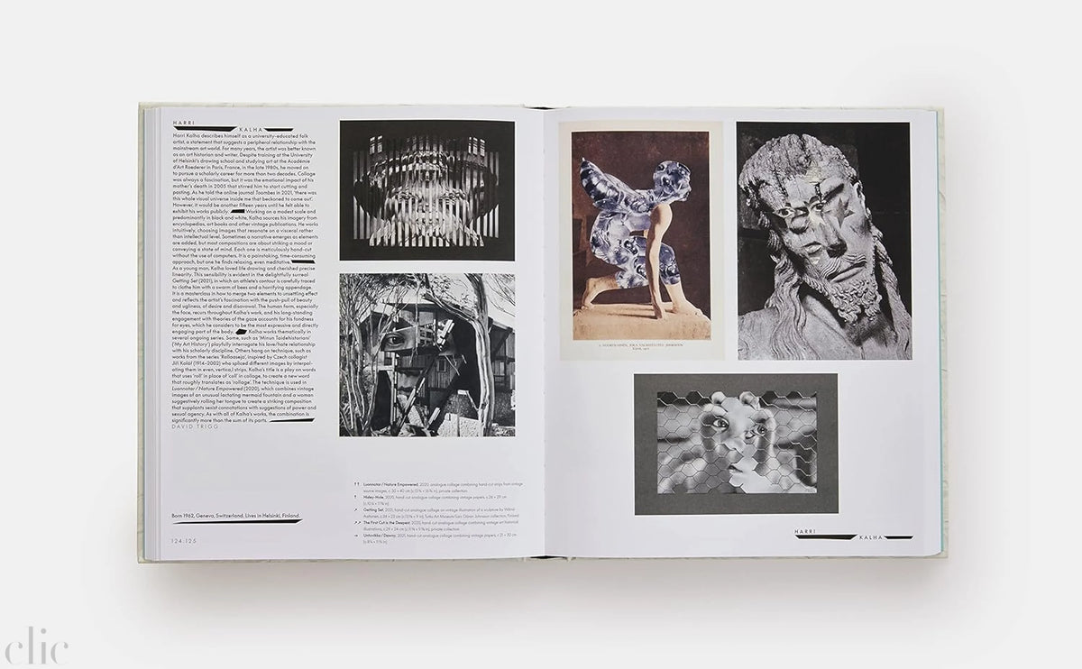 Vitamin C+: Collage in Contemporary Art
