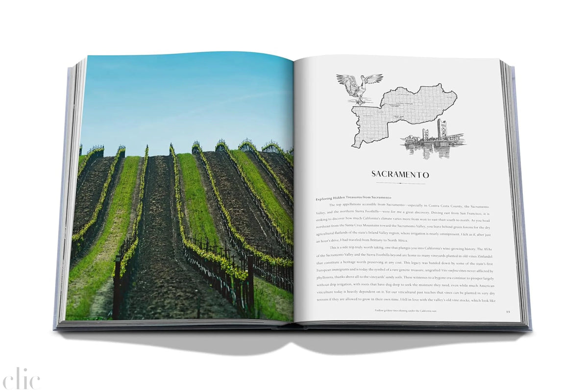 Wine & Travel United States of America: Exploring the best regional vineyards