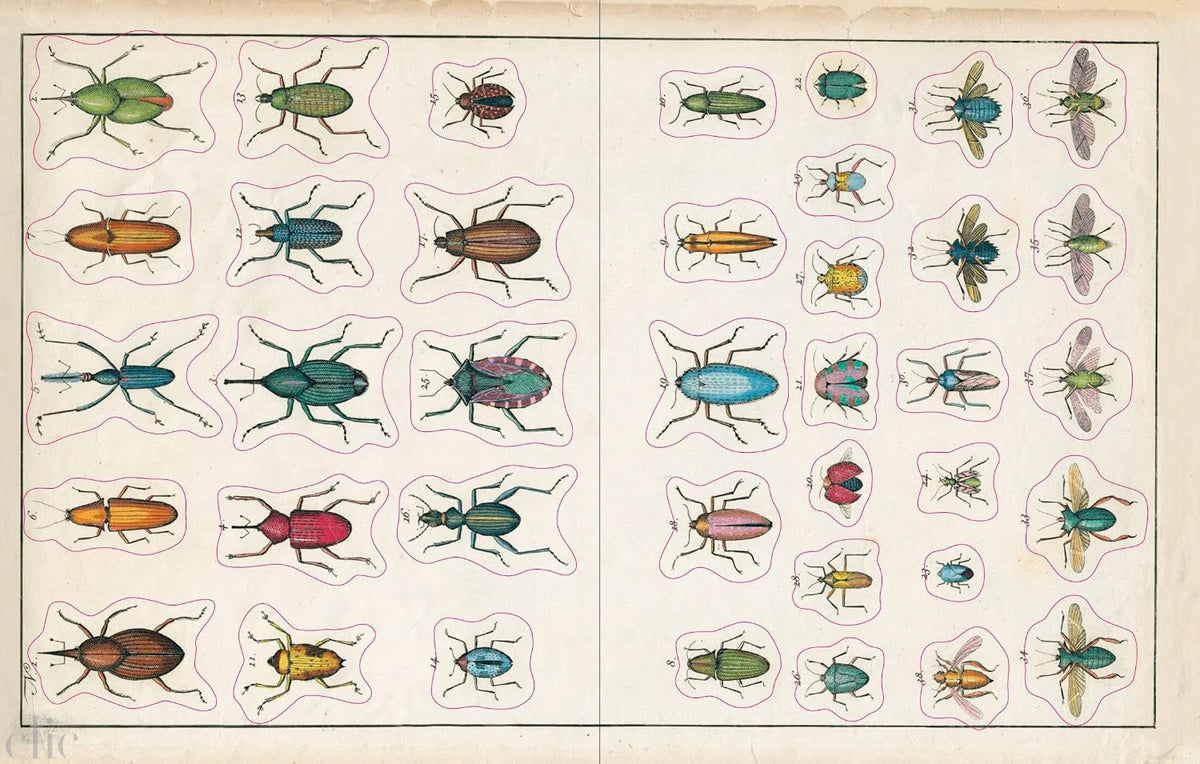 John Derian Sticker Book (John Derian Paper Goods)