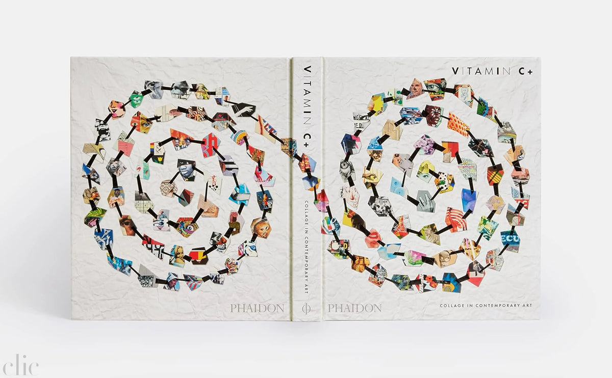 Vitamin C+: Collage in Contemporary Art