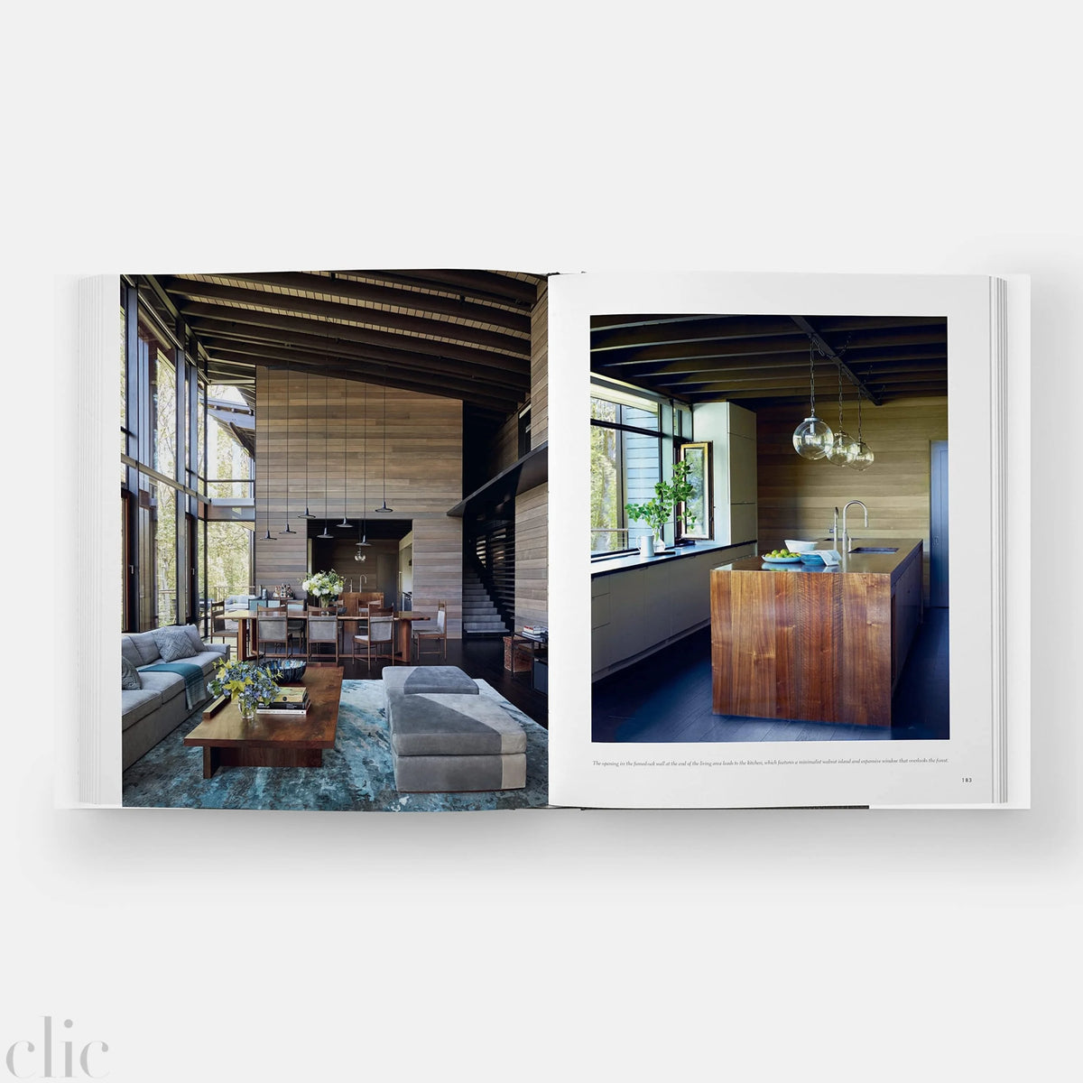 Shingle and Stone: Thomas Kligerman Houses