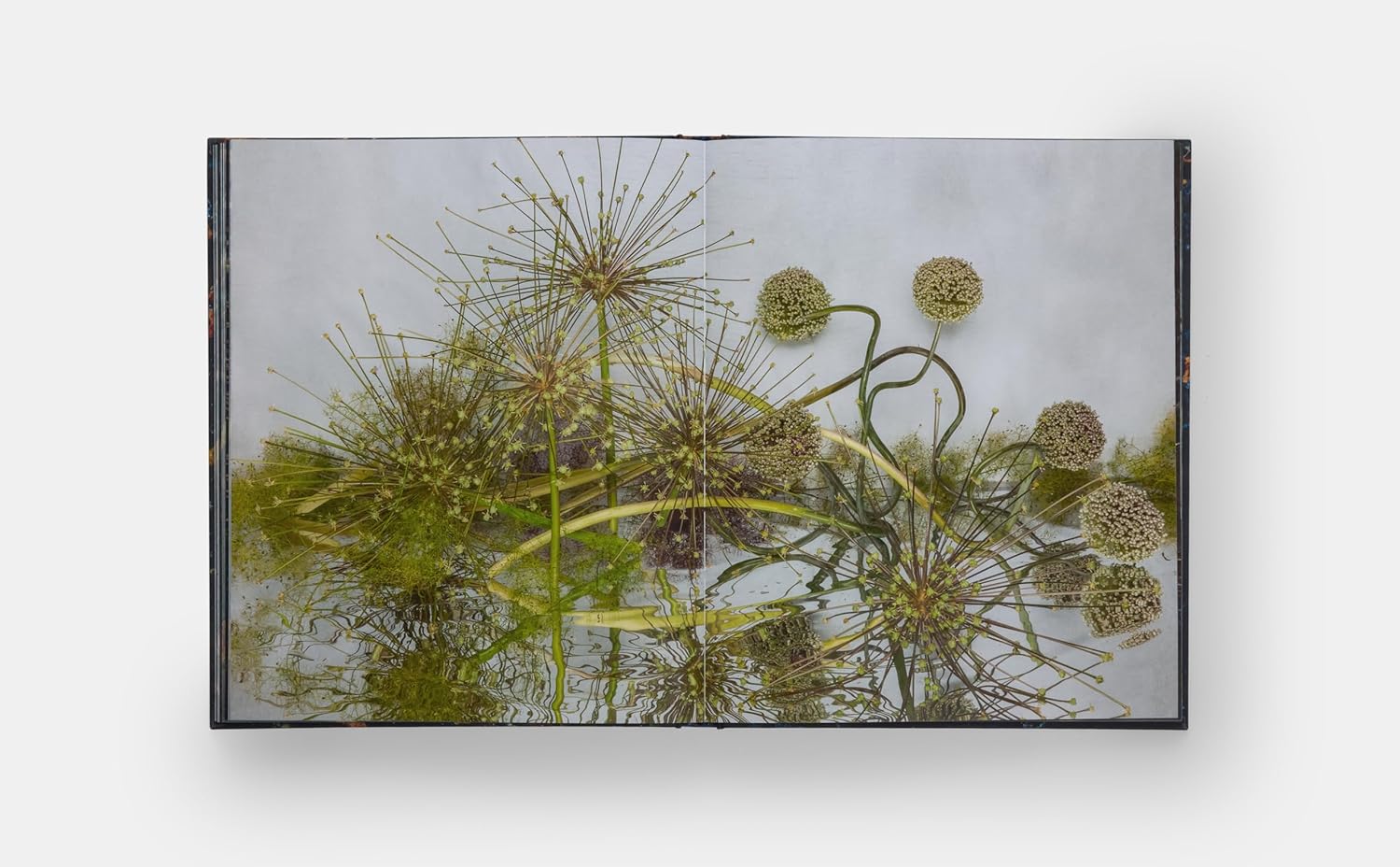 Emily Thompson Flowers