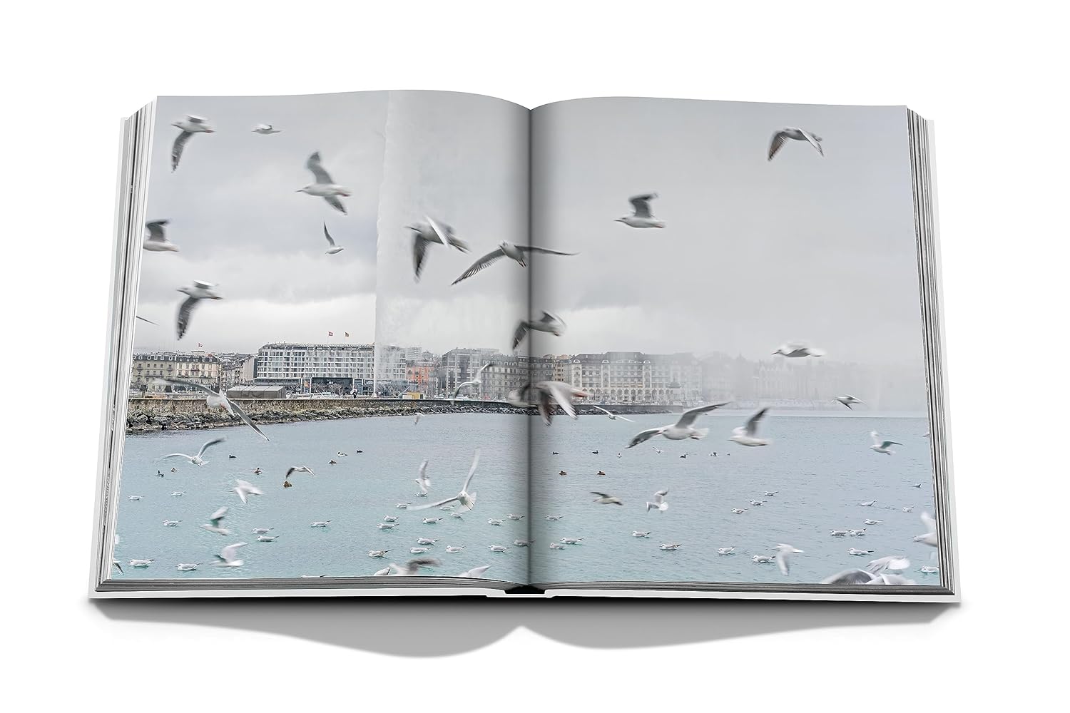 Geneva: At the Heart of the World