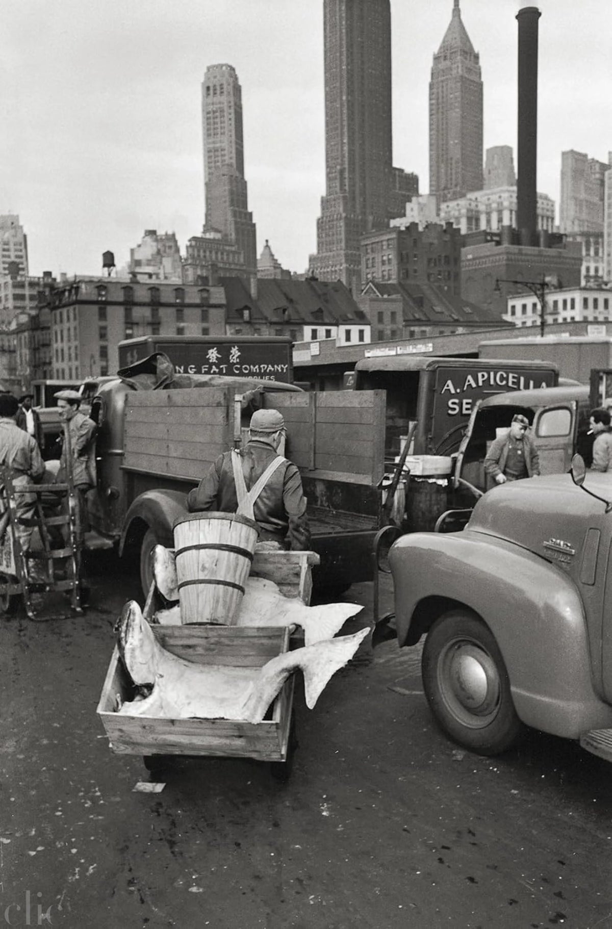 Elliott Erwitt's New York: Revised Edition