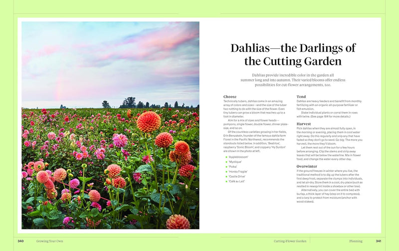 Martha Stewart's Gardening Handbook: The Essential Guide to Designing, Planting, and Growing