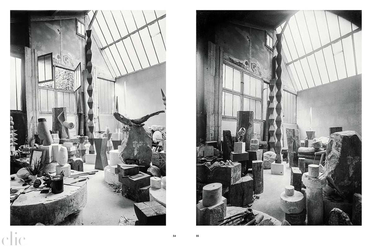 Brancusi: The Artist and His Studio
