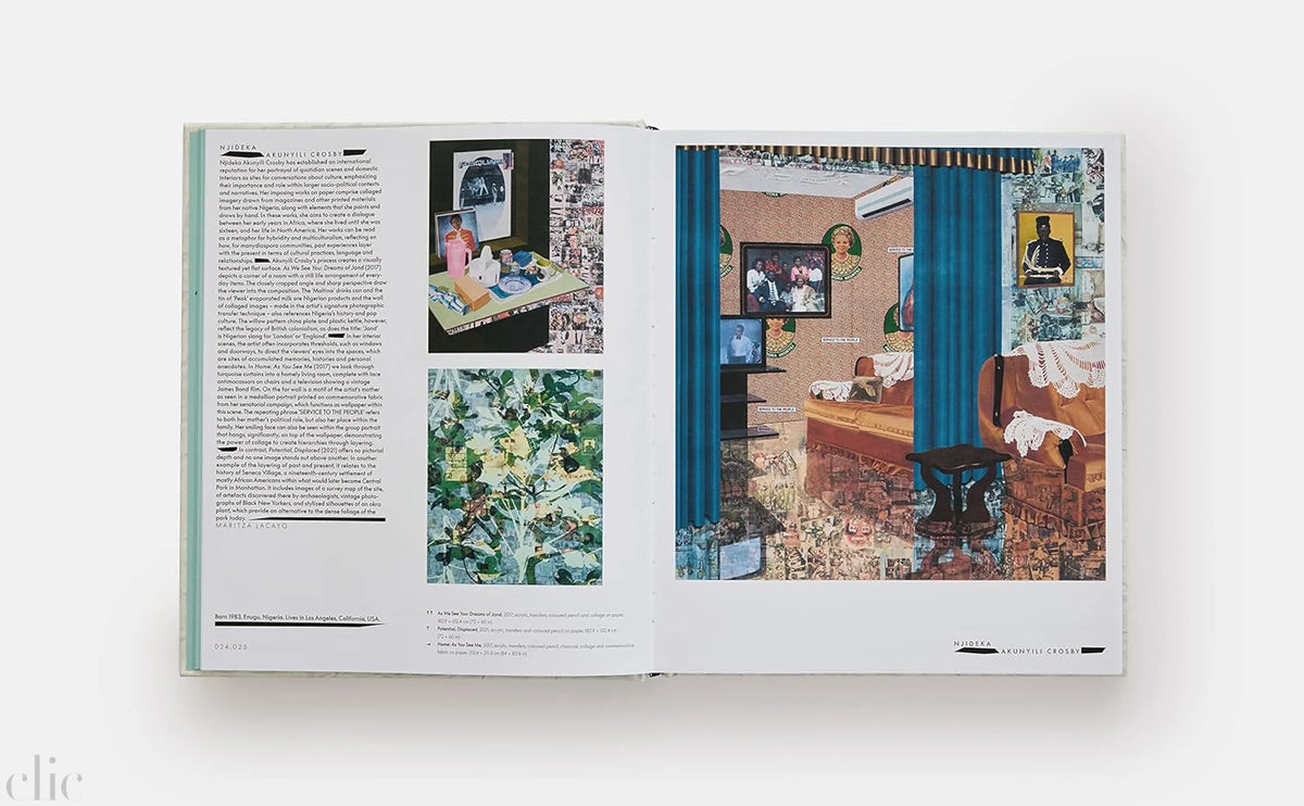Vitamin C+: Collage in Contemporary Art