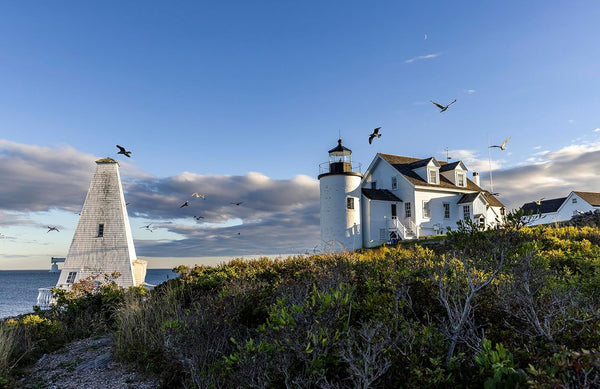 The Maine House II: Inland, Inshore and On Islands