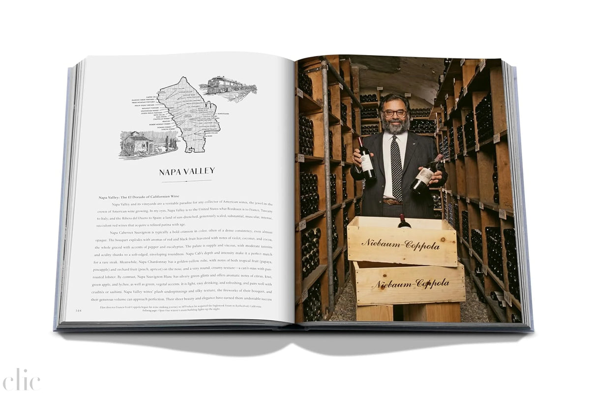 Wine & Travel United States of America: Exploring the best regional vineyards