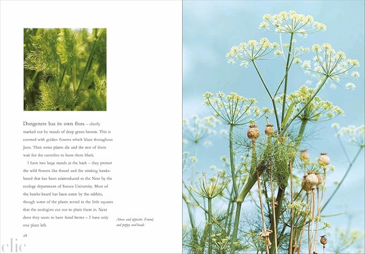 Derek Jarman's Garden 30th Anniversary Edition