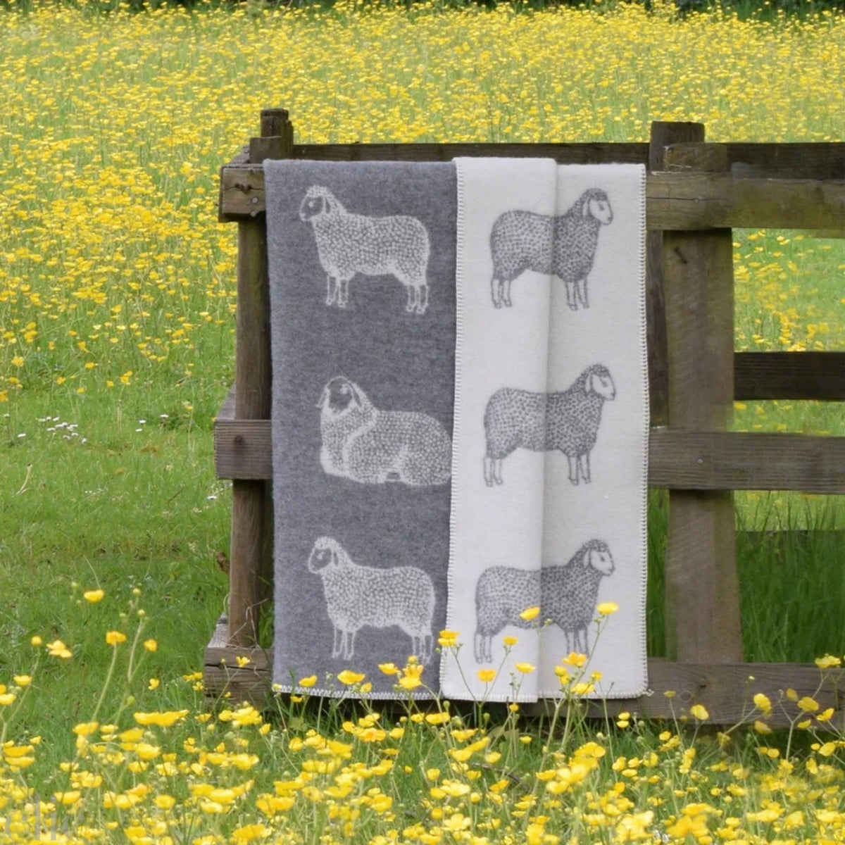 Sheep Wool Blanket in Grey