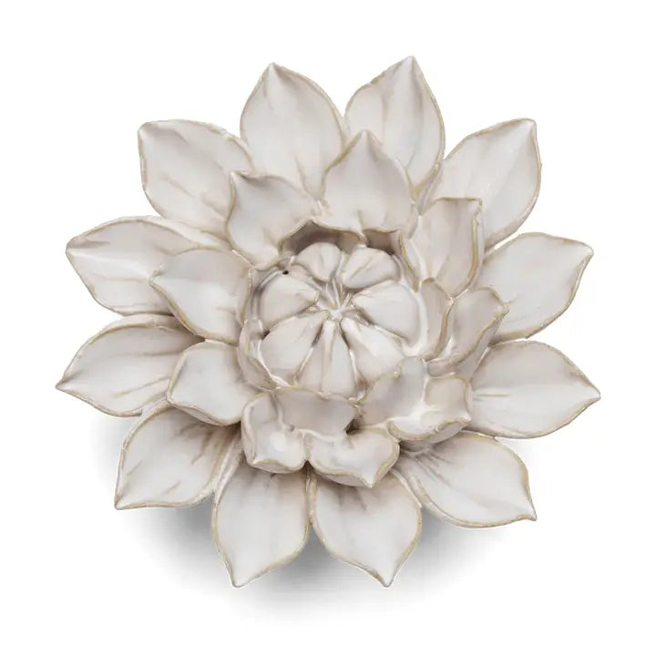 Monch Aster Dahlia in Ivory, from Chive