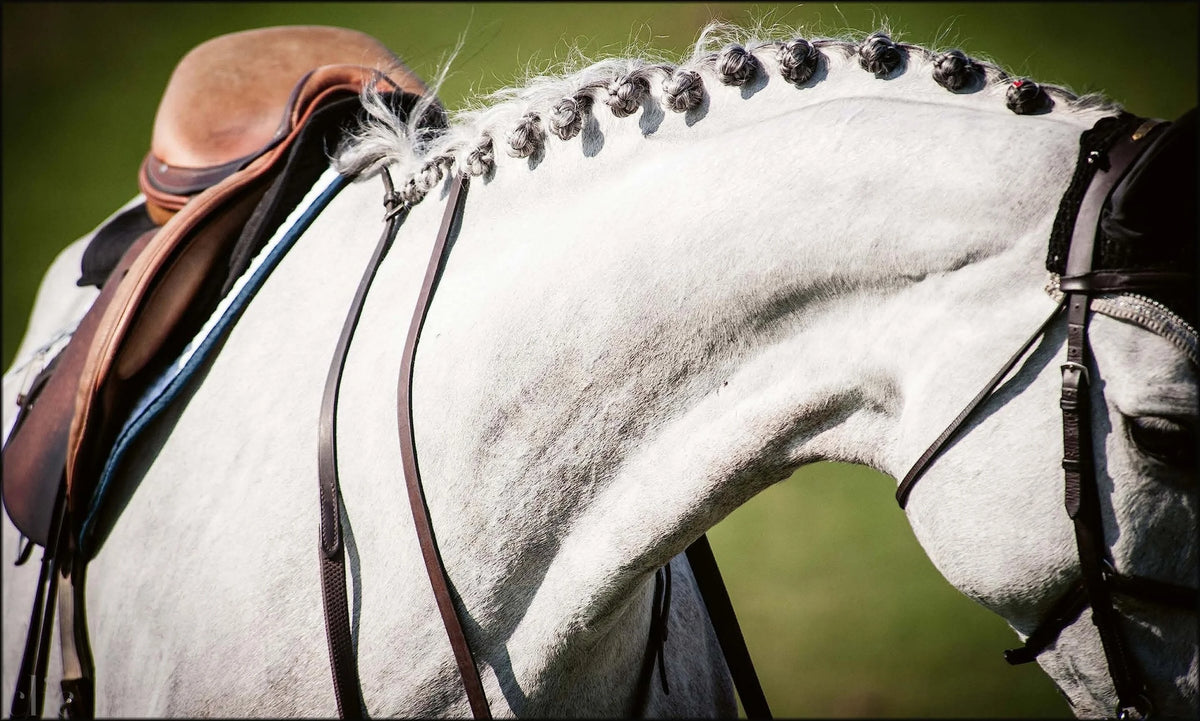 Equestrian Life in the Hamptons: In the Hamptons