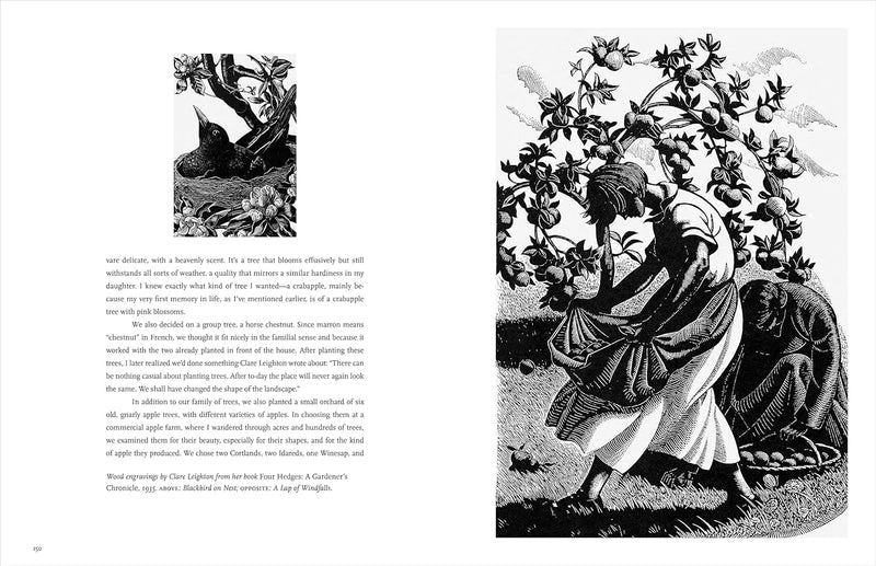 Becoming a Gardener: What Reading and Digging Taught Me About Living