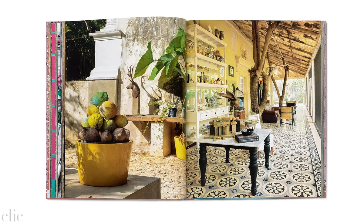 Inside Yucatán: Hidden Mérida and Beyond