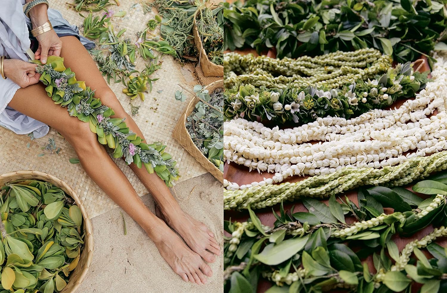 Lei Aloha: Celebrating the Vibrant Flowers and Lei of Hawai'i