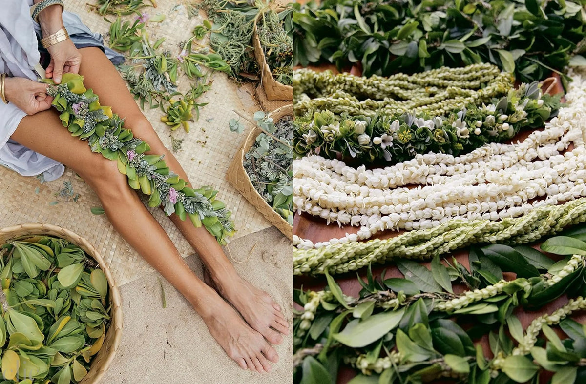 Lei Aloha: Celebrating the Vibrant Flowers and Lei of Hawai'i