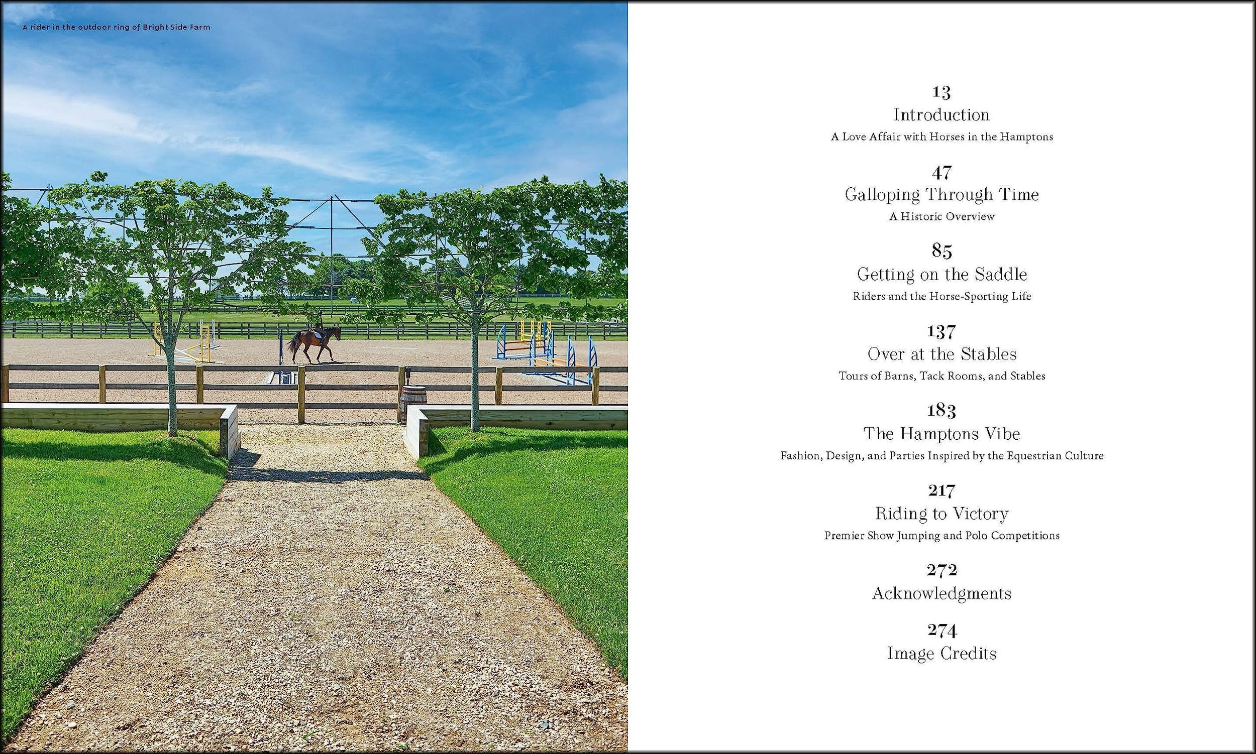 Equestrian Life in the Hamptons: In the Hamptons