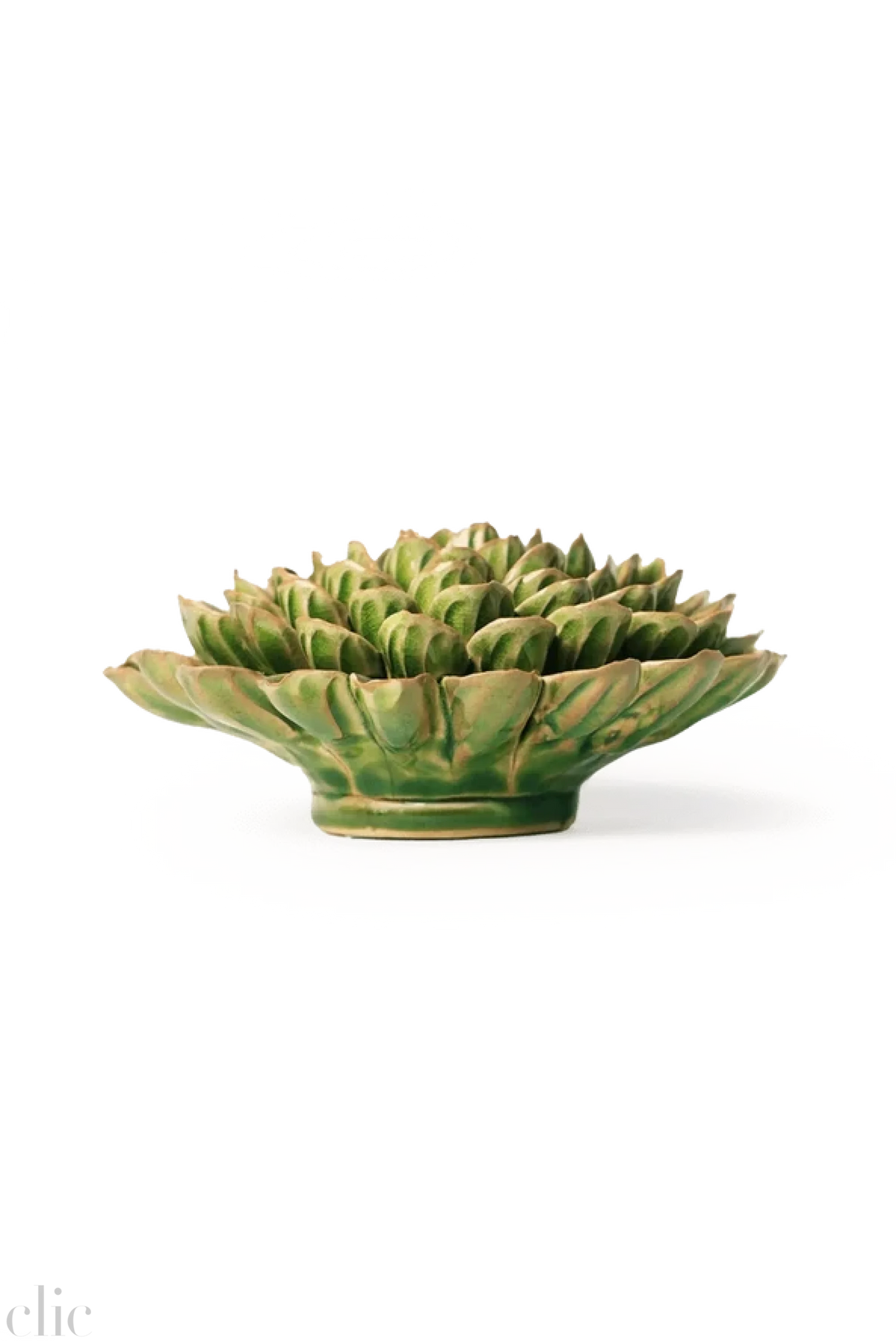 Ceramic  Zinnia Flower in Avocado Green