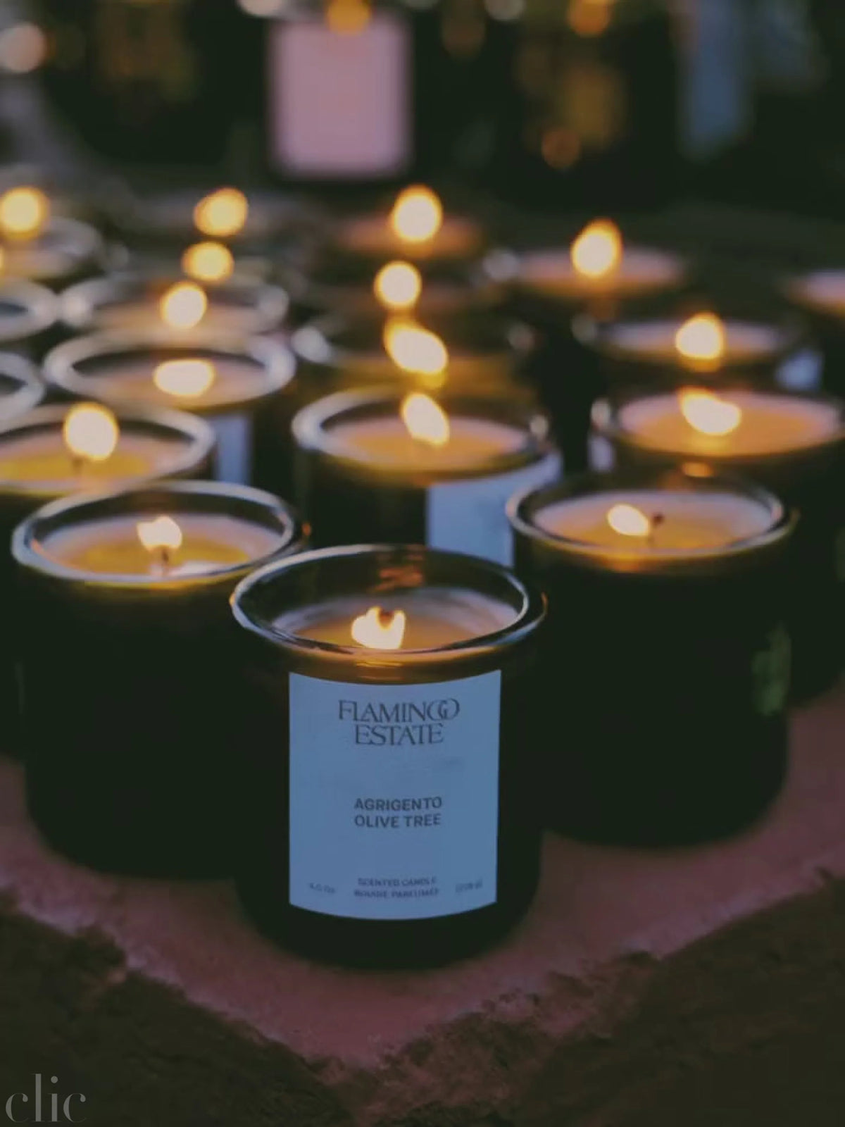 Olive Tree Candle, from Flamingo Estate