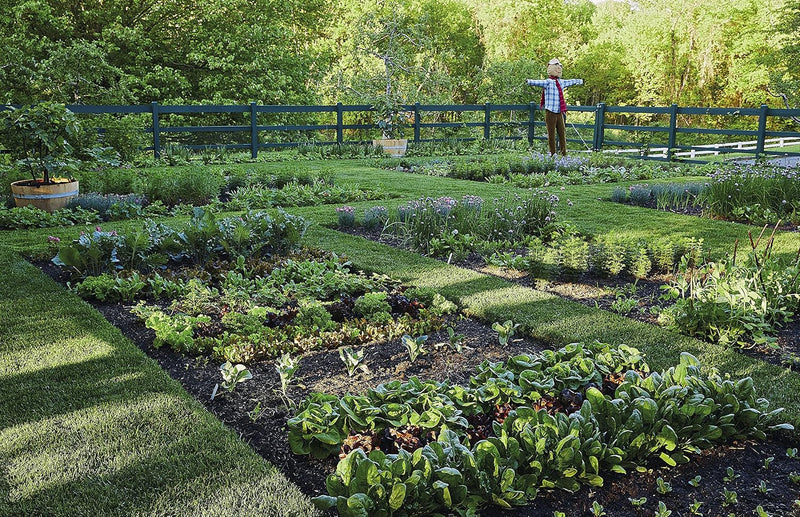 Becoming a Gardener: What Reading and Digging Taught Me About Living