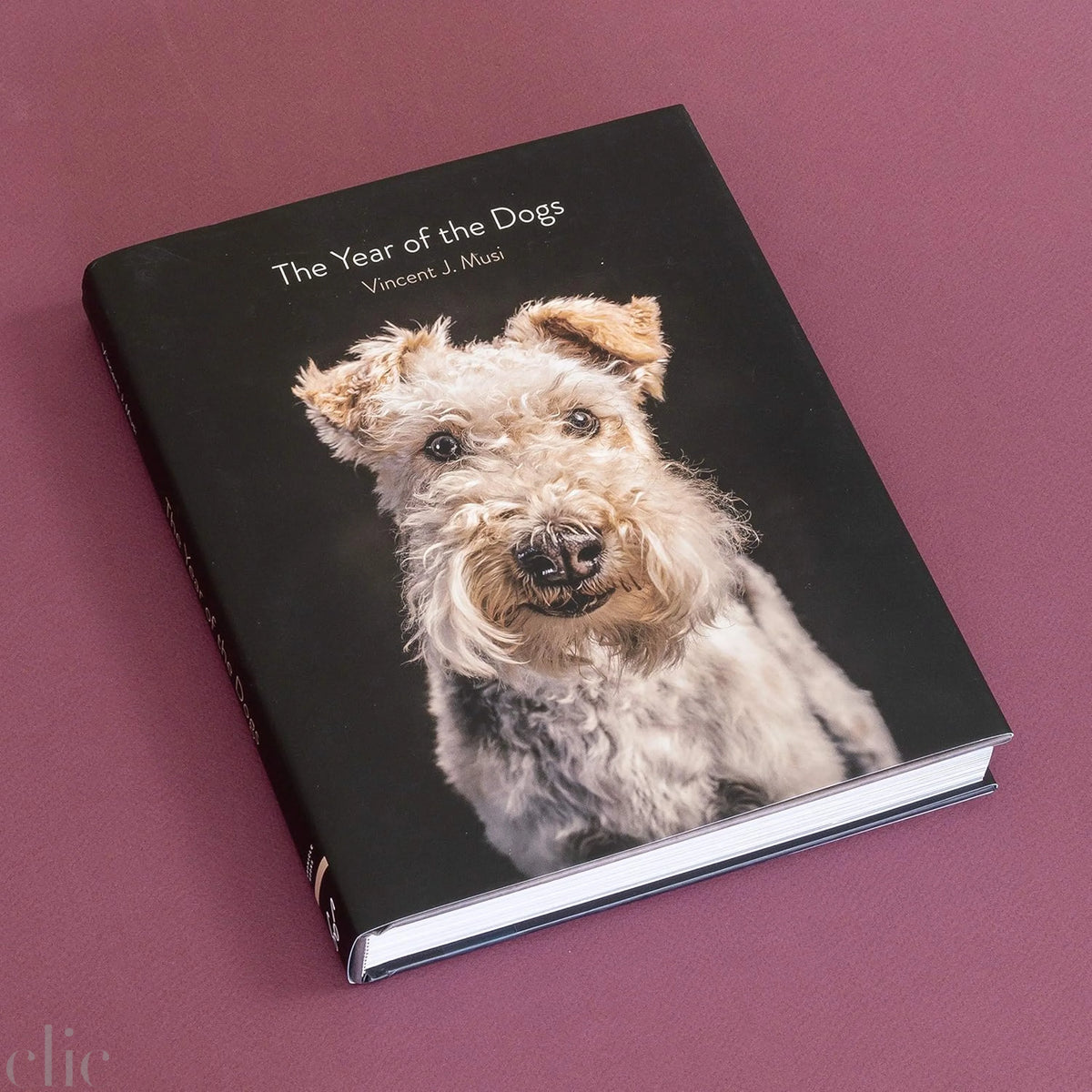 The Year of the Dogs