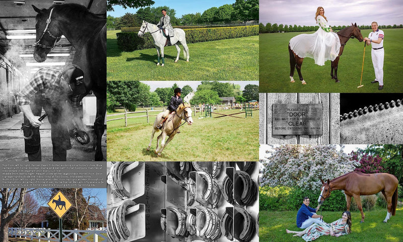 Equestrian Life in the Hamptons: In the Hamptons