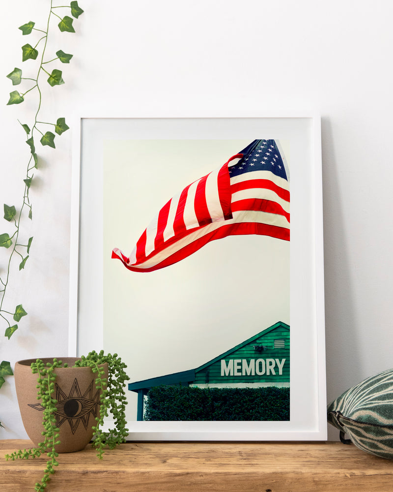 American Memory - THE AMERICAN EXPERIMENT by Brandon Ralph
